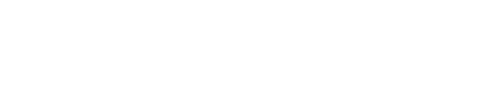 Co-nexo Logo